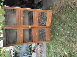 Hasenställe  Bild 2