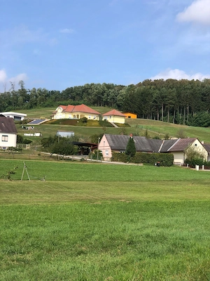 Haus mit Charme im Südburgenland, Uhudlergegend Bild 10
