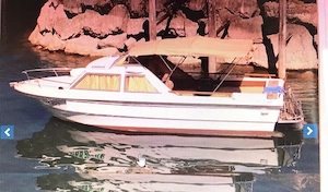 Motorboot Gehrer Bild 4