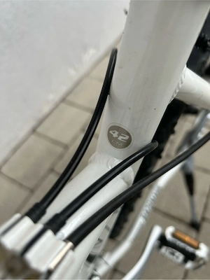 Damen Jugend Fahrrad Nakita Wild Cat Bild 2