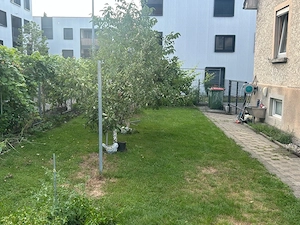 Verkaufe Mehrfamilienhaus  Bild 2