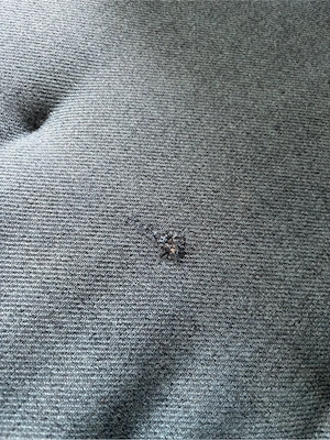Maison du Monde Couch Bild 4