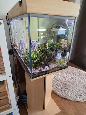 Aquarium mit Unterschrank  Bild 2