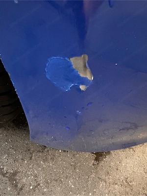 Vorgeführter Polo 6R Bild 5