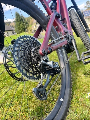 Specialized Turbo Levo Carbon Gen3 S3 - 700Wh - 90Nm - FOX - FACT 11m - Top Zustand - Garmin Mount Bild 4