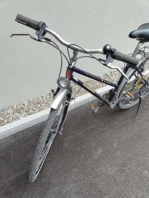 Fahrrad Alt Bild 2