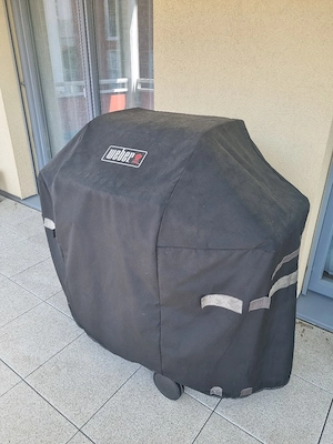 Weber Grill Bild 6