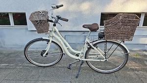 E-Bike Damen Bild 2
