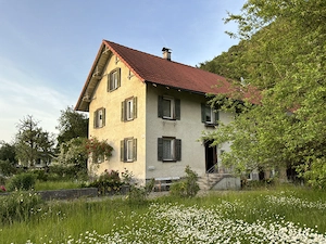 Liegenschaft in Gisingen zu verkaufen Bild 5