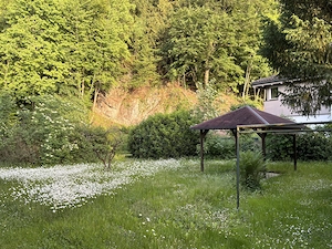 Liegenschaft in Gisingen zu verkaufen Bild 2