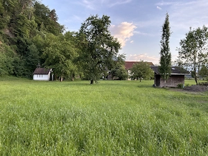 Liegenschaft in Gisingen zu verkaufen Bild 7
