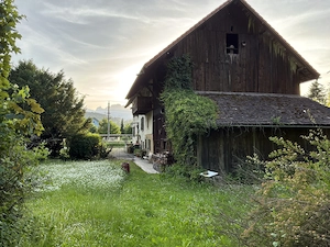 Liegenschaft in Gisingen zu verkaufen Bild 4