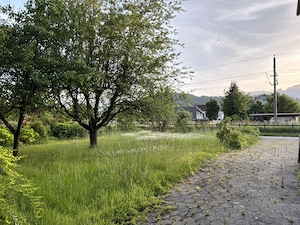 Liegenschaft in Gisingen zu verkaufen Bild 3