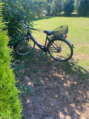 Damen Fahrrad Kalkhoff