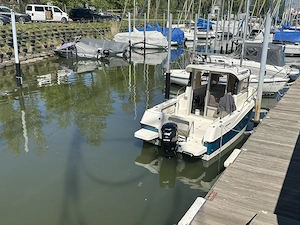 Pilothouse Quicksilver 605 mit Mercruiser CT 100, Trailer und Bodenseezulassung Bild 2