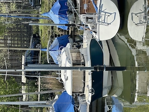 Pilothouse Quicksilver 605 mit Mercruiser CT 100, Trailer und Bodenseezulassung Bild 4