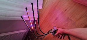 Neuwertige LED Pflanzenleuchte mit verschiedenen Modi Bild 3