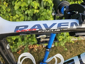 Focus Raven Mountain Bike Bild 4