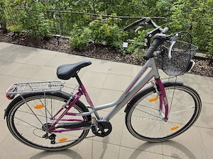 Damen Citybike Central Monaco 28 Zoll Bild 3
