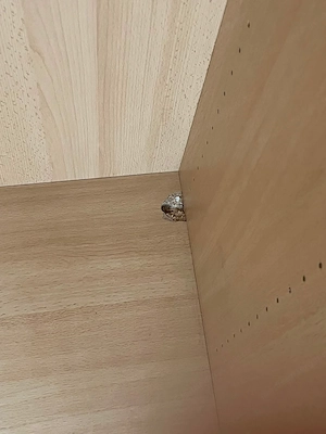 Kleiderschrank Bild 3