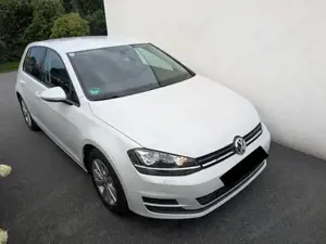 VW Golf 1,6 TDI mit Standheizung Bild 2
