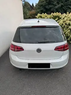 VW Golf 1,6 TDI mit Standheizung Bild 10