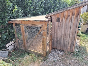 Wachtel-oder Hühnerstall  Bild 4