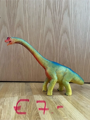 Schleichtiere Bild 2
