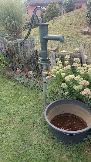 Schlögelpumpenbrunnen Bild 2