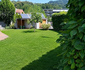 renovierte 4-Zimmer-Wohnung in Dornbirn Markt zu vermieten Bild 6