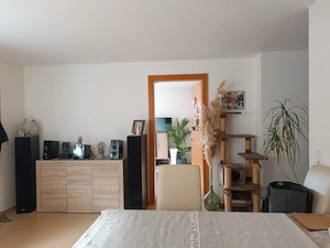 2-Zimmer Wohnung in Silbertal Bild 5