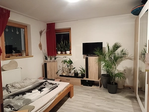 2-Zimmer Wohnung in Silbertal Bild 3