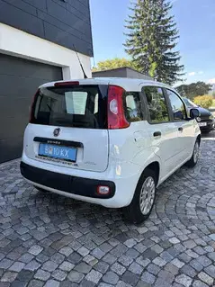 Fiat Panda Bild 3