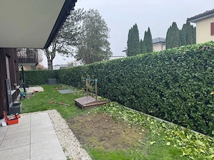 Garten Arbeit Rumdum Haus Bild 3