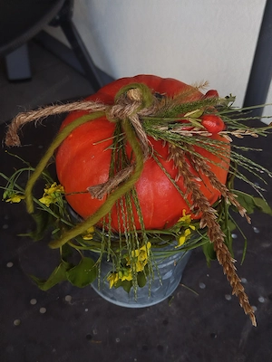 Deko Kürbis neu Bild 2