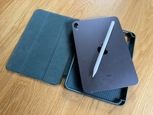 iPad mini 6 mit Apple Pencil 2.G Bild 2