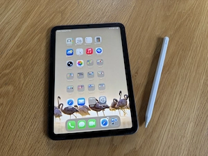 iPad mini 6 mit Apple Pencil 2.G Bild 3