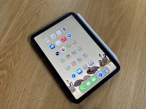 iPad mini 6 mit Apple Pencil 2.G Bild 4
