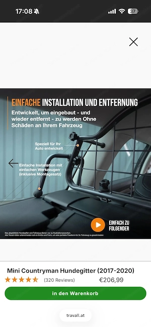 Mini Countryman Gitter Bild 3