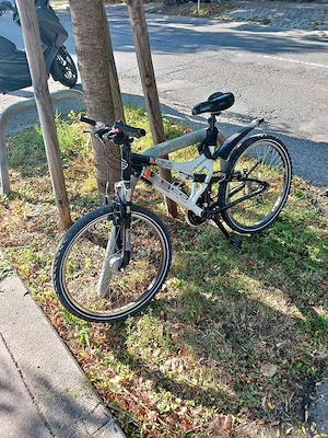 Fahrrad 24 Zoll Bild 3