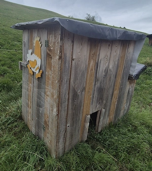 Hühnerstall abzugeben Bild 3