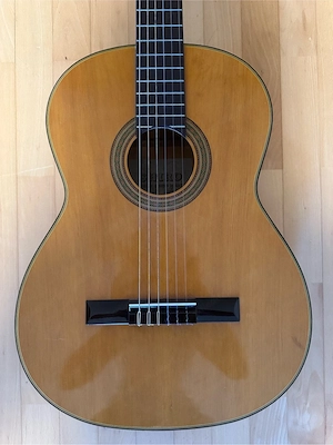 Shiro Gitarre Bild 2