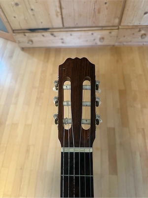 Shiro Gitarre Bild 4