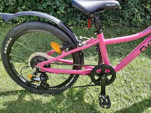 Naloo - Kinderfahrrad - 20 Zoll - pink Bild 3