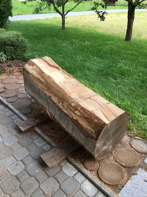 Suche Baumstamm als Bänkle