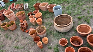 Terracotta Töpfe zu verschenken Bild 3