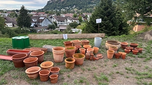 Terracotta Töpfe zu verschenken Bild 2