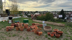 Terracotta Töpfe zu verschenken Bild 4