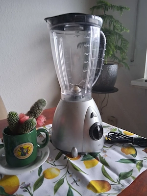 Standmixer von TCM