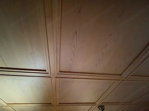 Kassetten Decke Bild 2